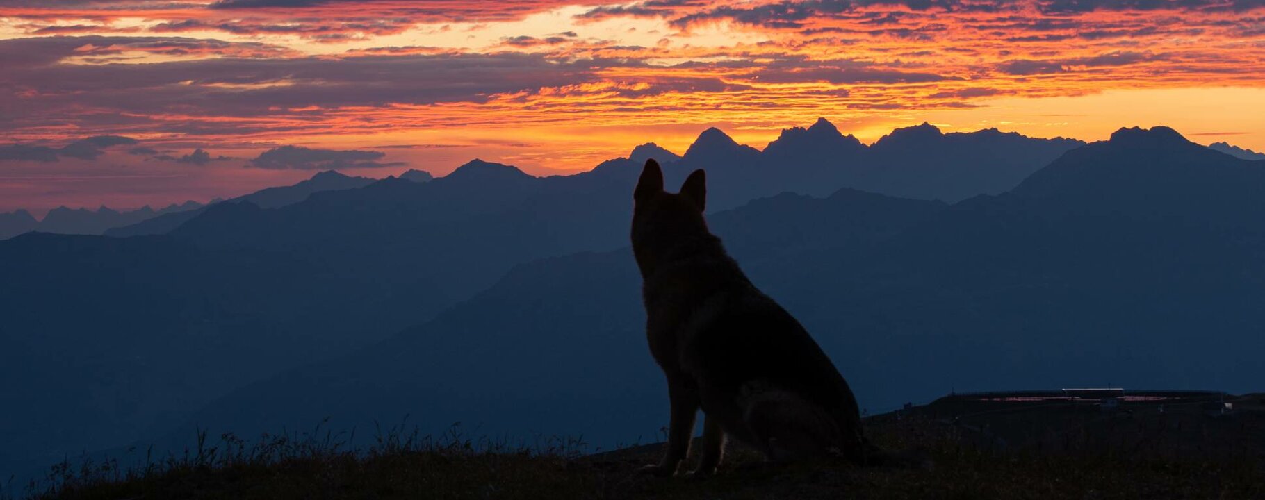 Holiday with dogs in Serfaus-Fiss-Ladis | © Andreas Kirschner